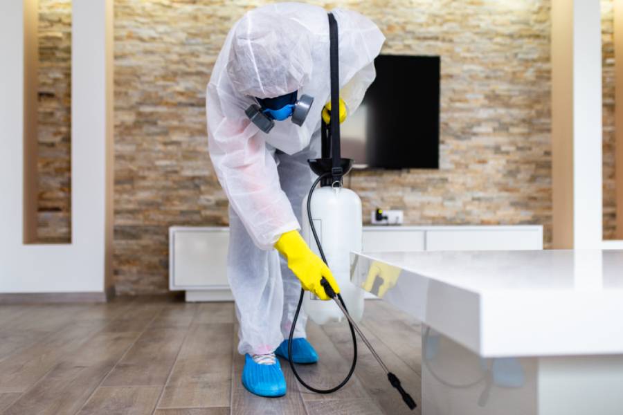 Benefits of Regularly Sanitizing Your Home